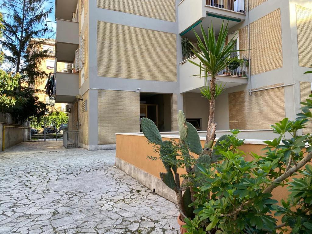 Casa Balu' Semesterbostad